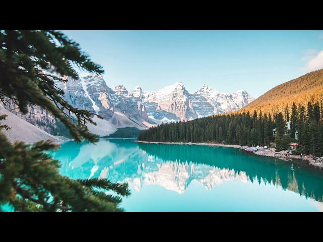 5 Minutes Relaxing Nature Sound Without Music for Sleep and Study