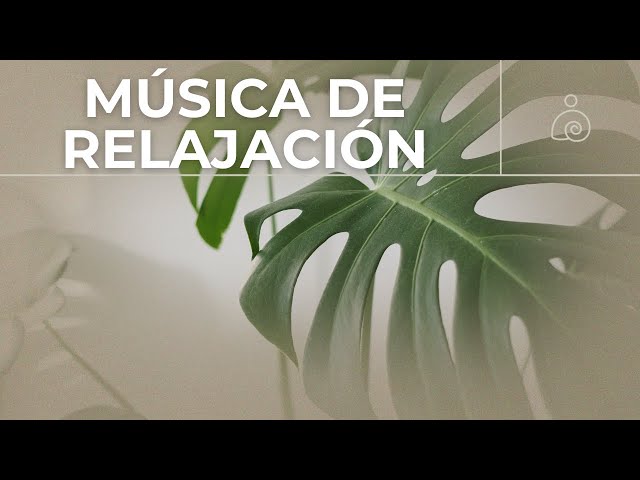 🌿🌿 Música de Relajación 2024 | Libera El Estrés Y la Ansiedad🌿🌿