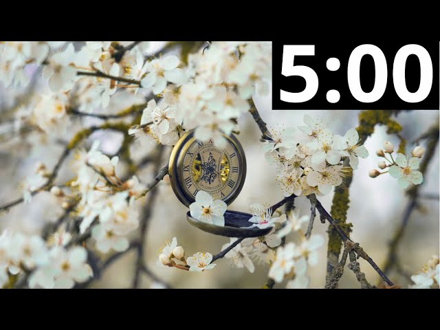 5 Minute Timer with Classical Music | Relaxing | Focus | Piano Instrumental