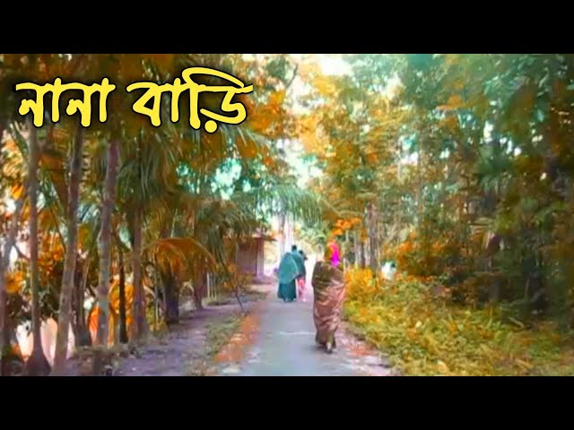 ১৩ বছর পরে নানা বাড়ি || Natural scenery from Bhola The biggest Island