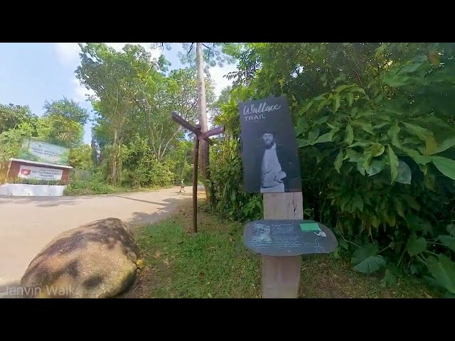 Wallace Trail via Dairy Farm Outdoor Adventure Learning Centre (Dairy Farm Nature Park, Singapore)