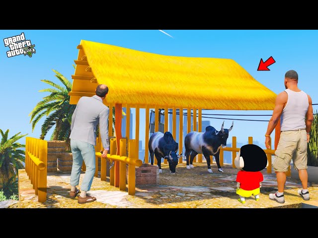 Shinchan & Franklin Build House for Jallikattu Kaalai in Gta 5