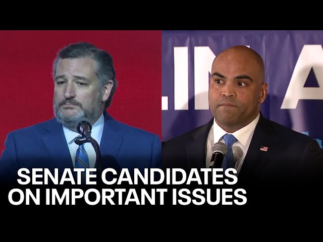 Ted Cruz, Colin Allred on the border, Israel