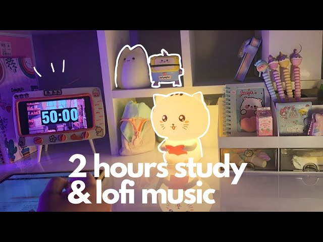 2 hours study with me | Pomodoro Timer 50/10 & Chill Lofi Music | Cozy Study Aesthetics