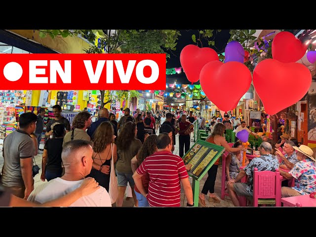 Playa del Carmen en vivo | Día del Amor y la Amistad