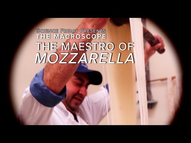 The Maestro of Mozzarella