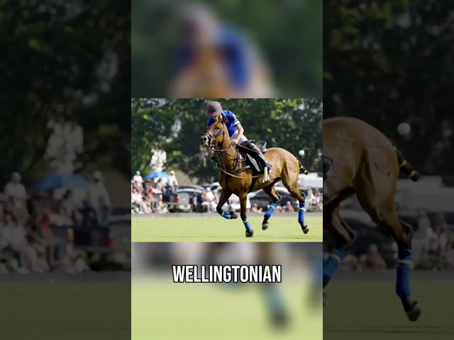 From Nicaragua to Wellington: Executive Director of NPC Carlucho Arellano Polo Journey