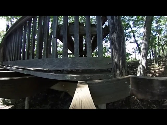 A pause in the forest, #360video #VRview