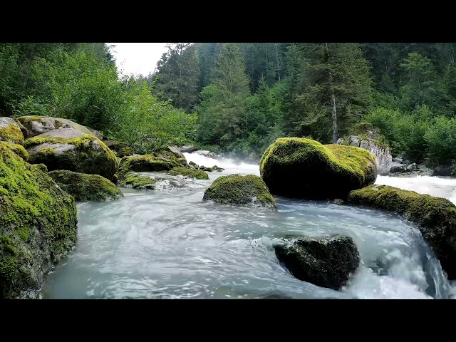 Babbling brook for ultimate relaxation | serenity in white noise🌊