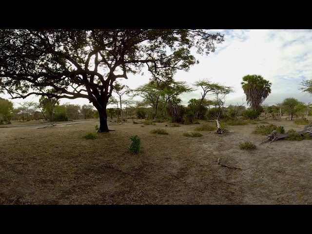 360 Video of Wildlife Film trip - Photos of Africa VR Safari