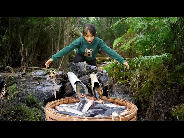 How the Poor Girl's Built Plastic Water Pipe Fish Trap and Catches a Ton of Fish | Poor Girl +