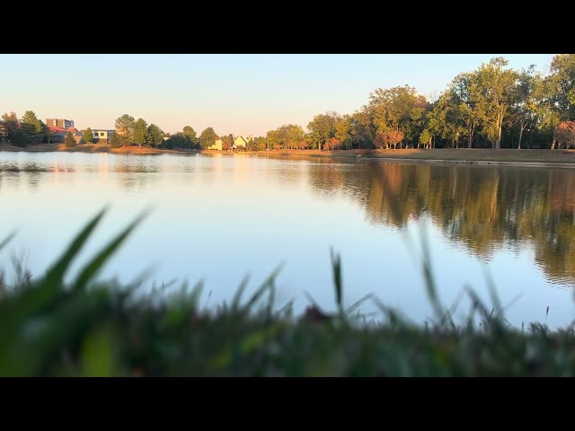 Blue Calm ASMR Water