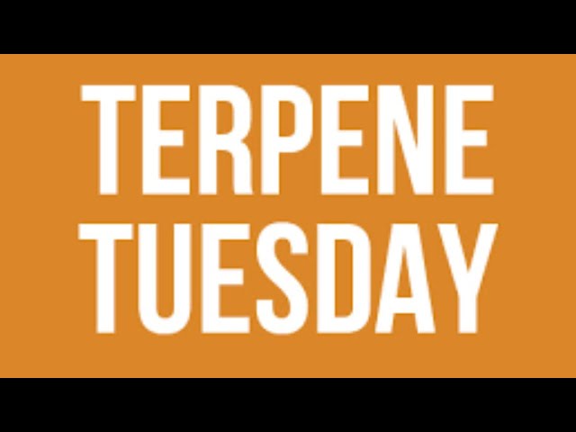 Terpine Tuesday