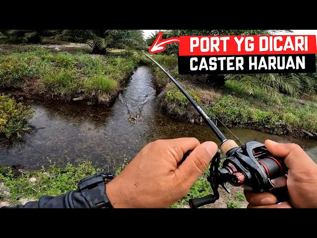 BEST MANCING HARUAN DKT PORT MCM NI