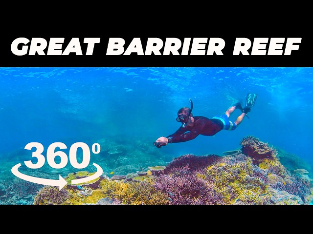 360 Video - Great Barrier Reef Australia - Under the surface