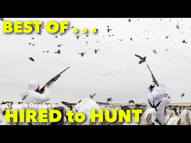 Best of Hired to Hunt #1 ... Season 8 #10 ... Goose Hunting Duck Hunting Claudio Ongaro in ALBERTA