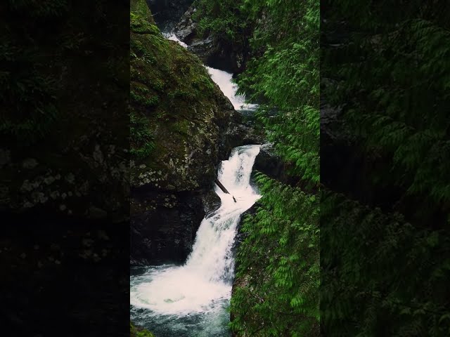 Washington State, Twin Falls in a rainy day