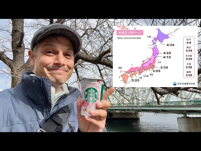 Japan & Tokyo’s Cherry Blossom Schedule Update 2025