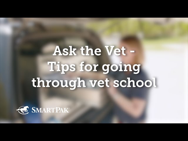 Ask the Vet - Tips for going through vet school