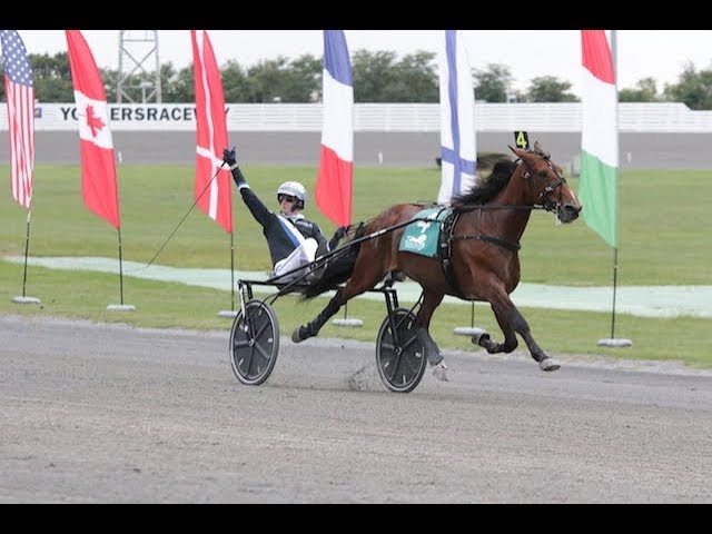 2017 International Trot - Twister Bi