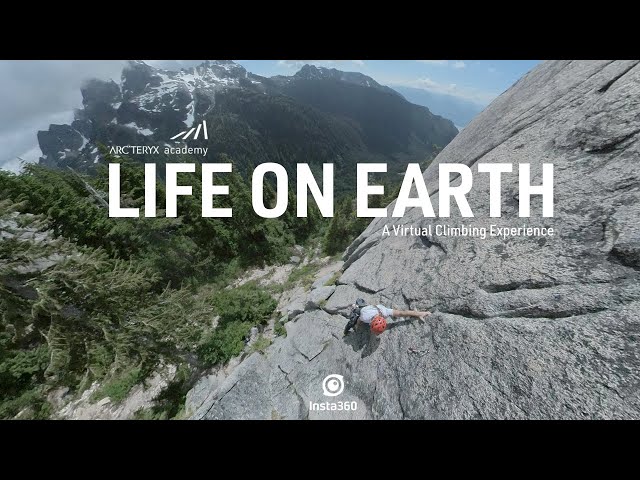 Life On Earth: A Virtual Climbing Experience