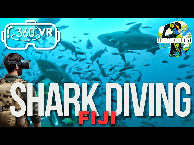 Bull Sharks in Fiji: 360° VR Scuba Diving Adventure | VR Travel Video