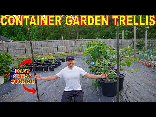 The BEST Container Garden Trellis Ever! Complete DIY Install Guide