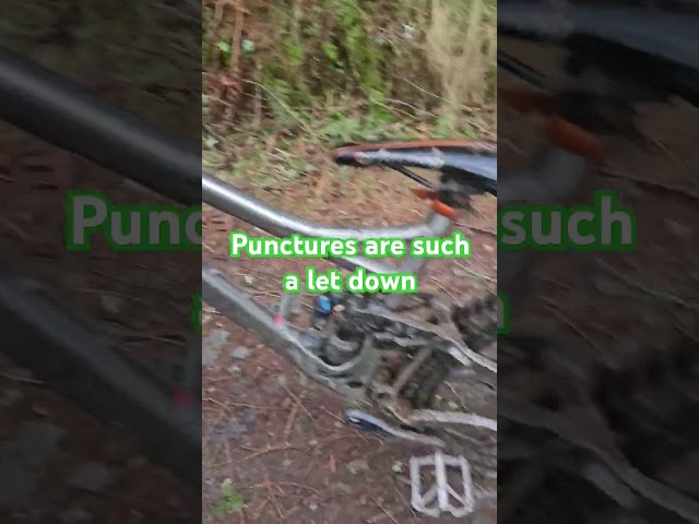 First of 2 punctures at Innerleithen mtb dh  trails yesterday #Innerleithen #jaggyrocks #mtb