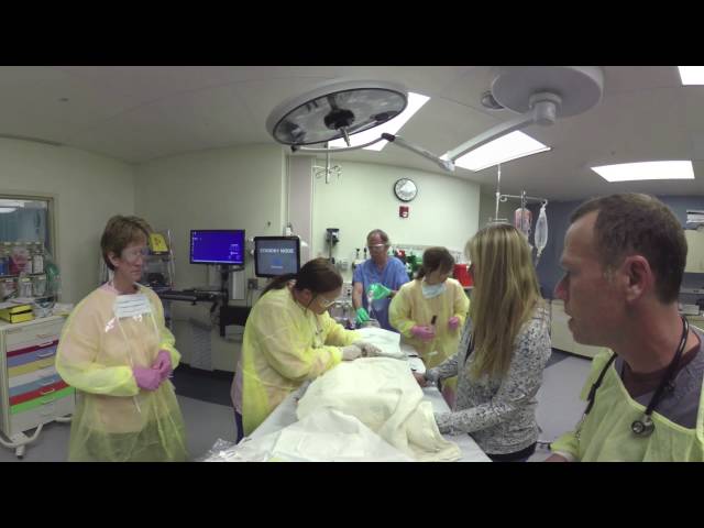 Pediatric Trauma Scenario: Catheter Insertion In 360 Video