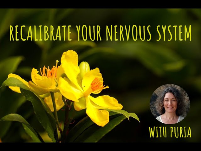 Recalibrate your Nervous System with Puria