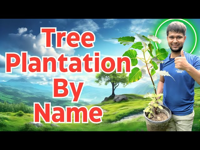 Tree Plantation By Name in India | Step-by-Step Tree Planting in India by Name! | INDIA'S Tree Plant