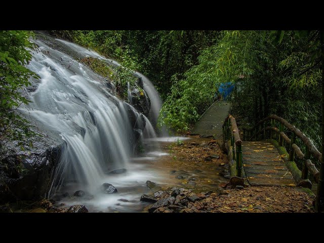 Relaxing music | rain sound | Nature Video | raining video