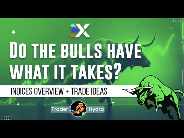 Do the bulls have what it takes? | Xtrades