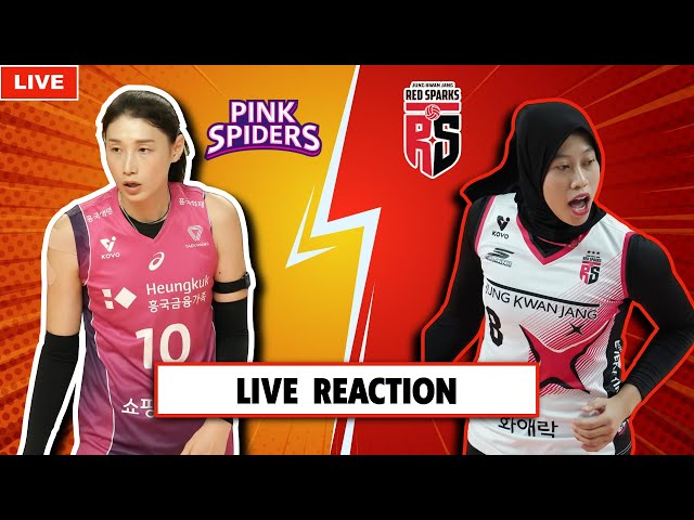 PINK SPIDERS VS RED SPARKS, KOREA V-LEAGUE LIVE REACTION