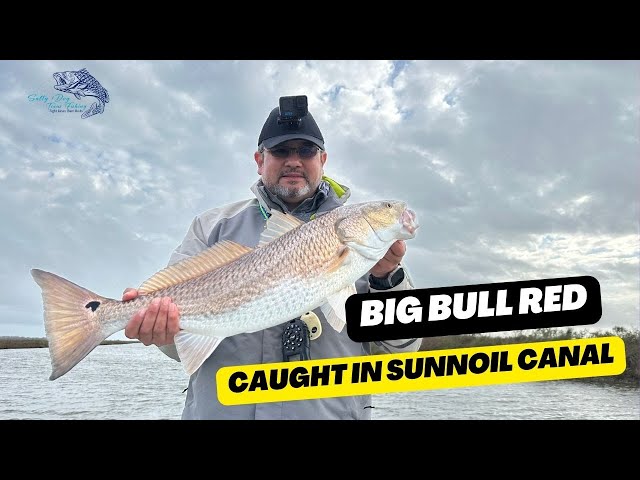 This Bull Red Pulled Me to My Knees All Around the Boat - Galveston East Bay