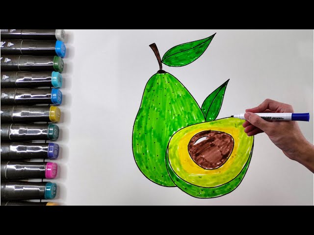 Belajar Mewarnai Buah Alpukat | Learn to color avocado fruit