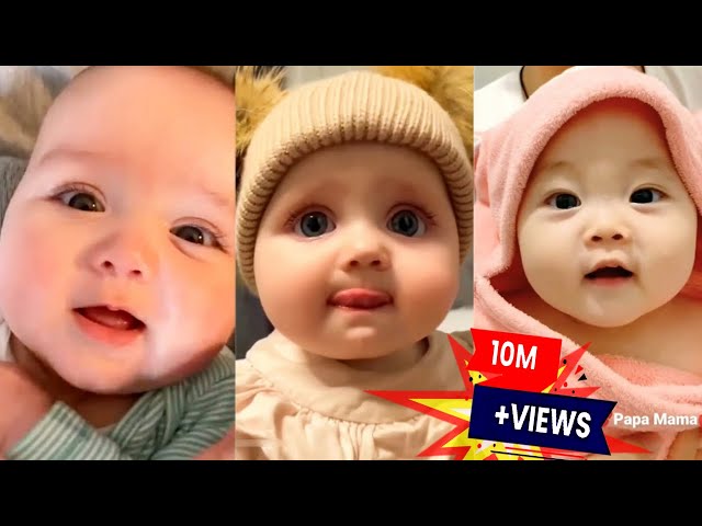 You can't ignore their cutenes|Are you looking for cuteness?OMG!I found most cutest babies|Baby Tube