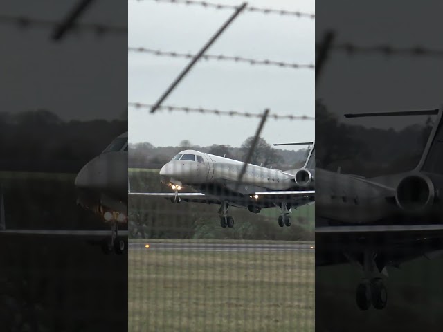 Planespotting Jets Luton Airport  #planespotting #planespotter #airports #airportslive  #planes