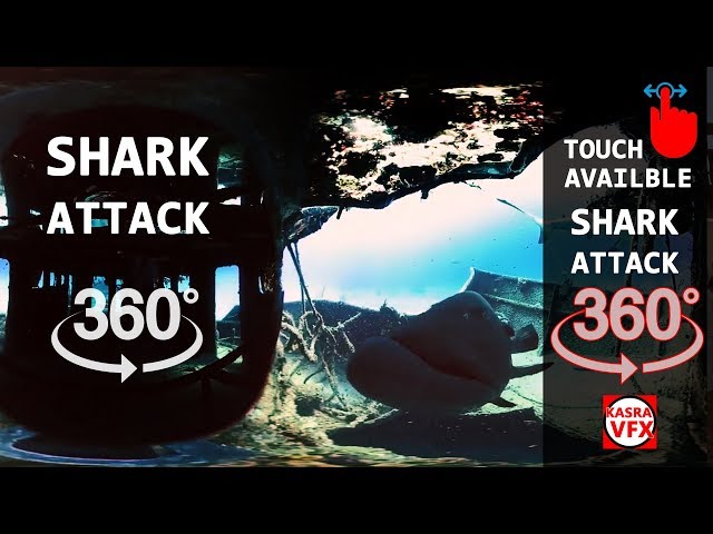 Great 360 VR video in sea and a shark attack