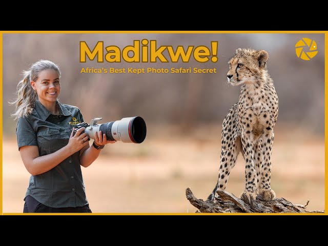 Madikwe Game Reserve - South Africa's Best Kept Photo Safari Secret!