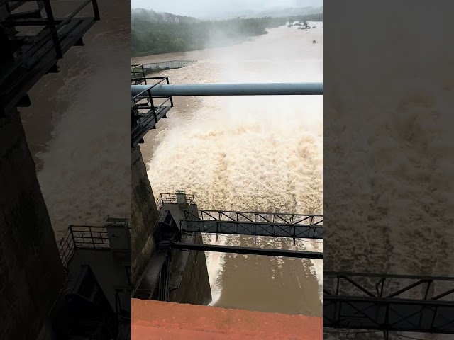 Very tall dam kadra #karnataka #flood #waterfall #nature #shorts