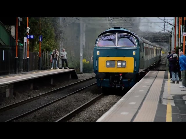 D1015 Western Champion thrashing through Marston green