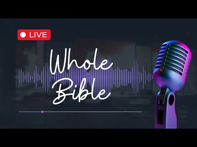 Experience the Entire Bible: 24/7 Audio Bible Livestream | BibleOnTheGoTV