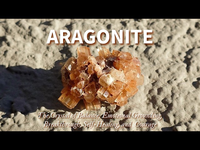 Unearth The Healing Benefits, Origins, and Metaphysical Properties of Aragonite