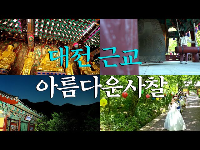 대전 근교 아름다운 사찰여행지 /혼자 당일치기 여행하기 좋은 곳 / KOREA TEMPLE