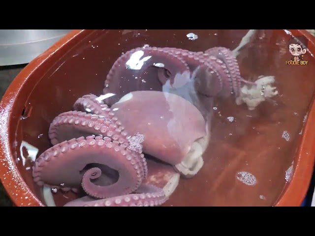 Octopus 17kg | Korean street food