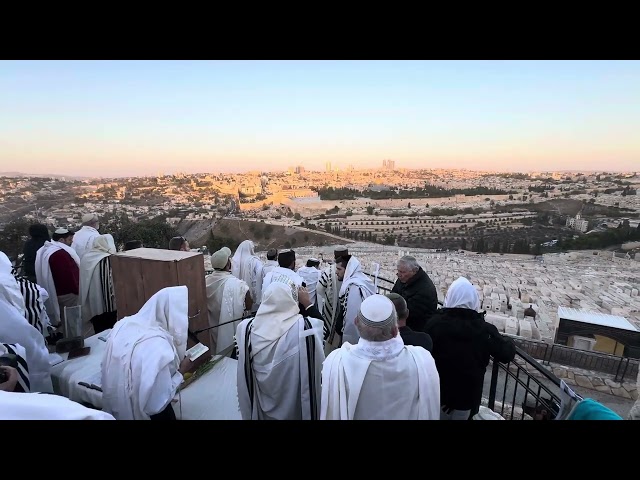 Hoshana Raba Prayers on Har HaZeitim