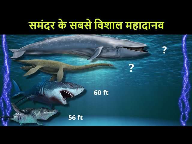 समंदर में रह चुके अब तक के सबसे विशाल जीव | Largest marine animal ever lived on earth