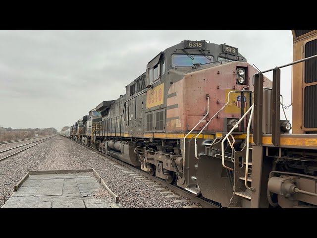 La fox Railfanning! | 2/8/25 | Ft. 60MPH freight, SP patch and more!