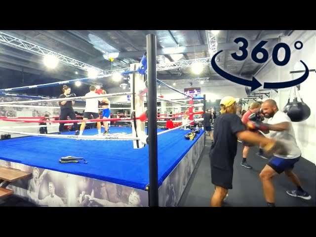 VR VIDEO BOXING 360 8K - WILDFIGHTER BOXING GYM - EXPERIENCE SATURDAY'S FITNESS CLASS 🥊